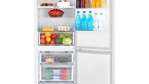 Samsung RB29HSR2DWWEF