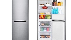 SAMSUNG RB29HSR2DSAEF
